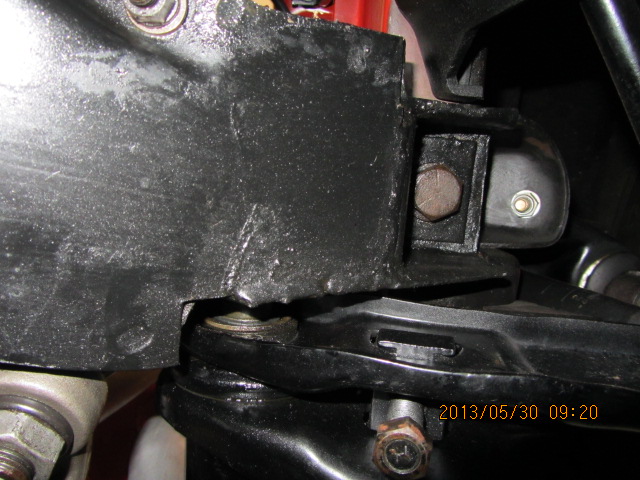 Bee LCA bushes 001.JPG