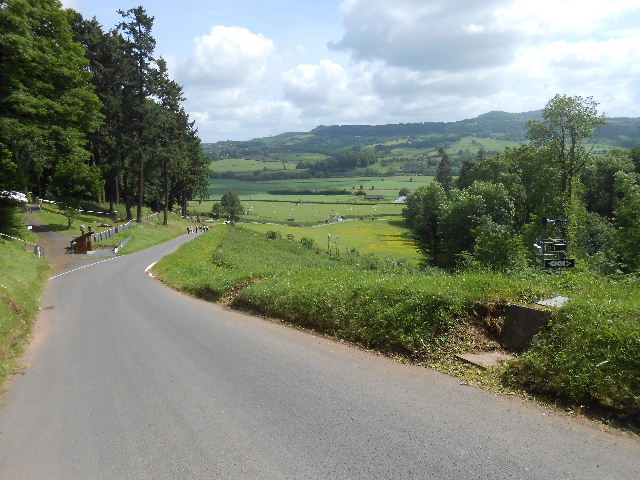 Looking down the hill from about half way