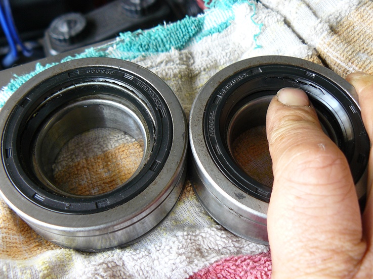 Shot seals.jpg