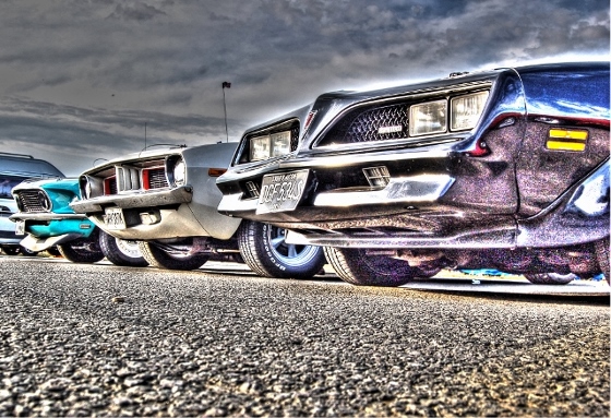 noses (640x438) (560x383).jpg