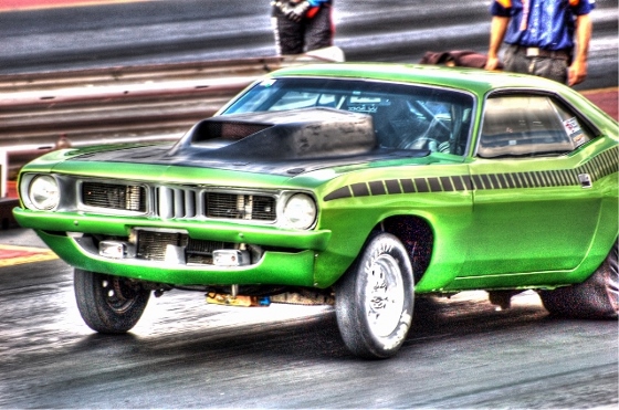 cuda (640x424) (560x371).jpg