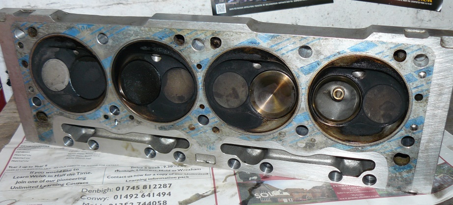 Head 02.jpg