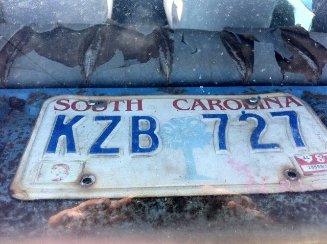 carolina rnr.jpg