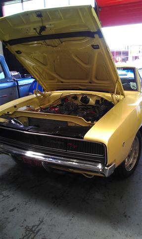 IMAG0742 (Small).jpg