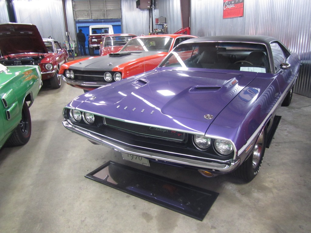 mainly muscle cars 027.JPG