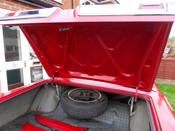 trunk 1.JPG