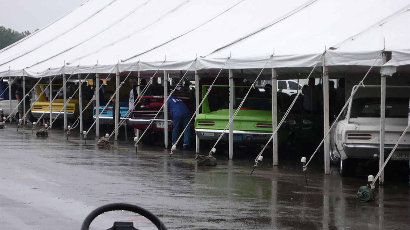 Wet Birds at the Nats.jpg