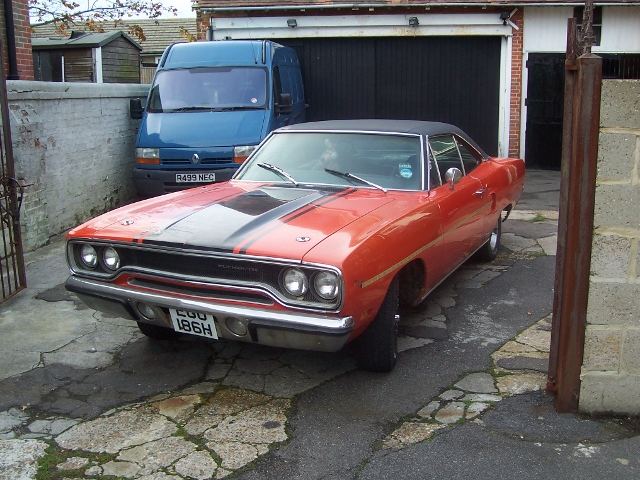 roadrunnerroadrunner 004 (640x480).jpg