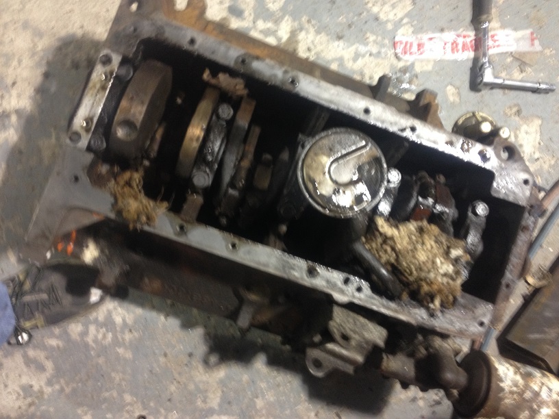 Engine complete with rodent nest