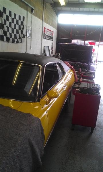 IMAG1535 (Medium).jpg