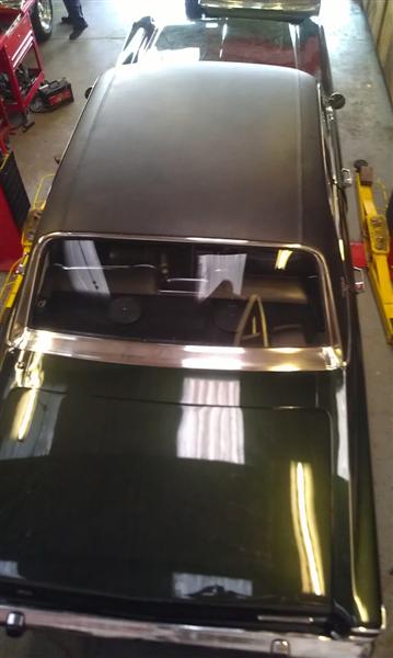 IMAG1544 (Medium).jpg