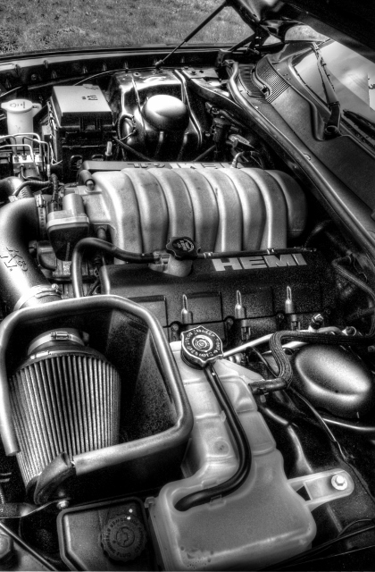 hemi bw (420x640).jpg