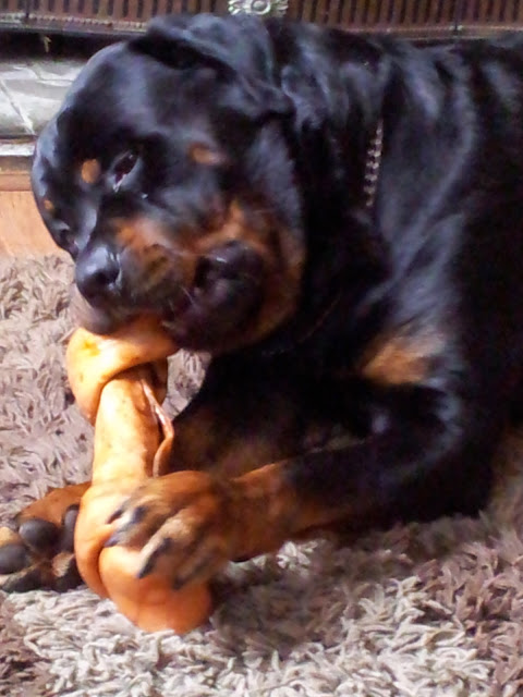 20120325_093449.jpg