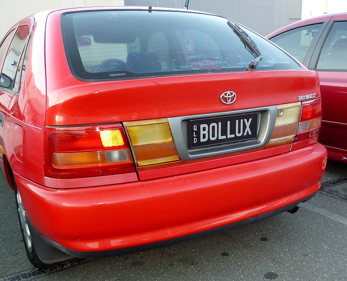 bollux.jpg