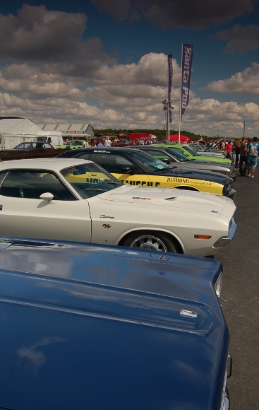 DSC_0291 (367x580).jpg