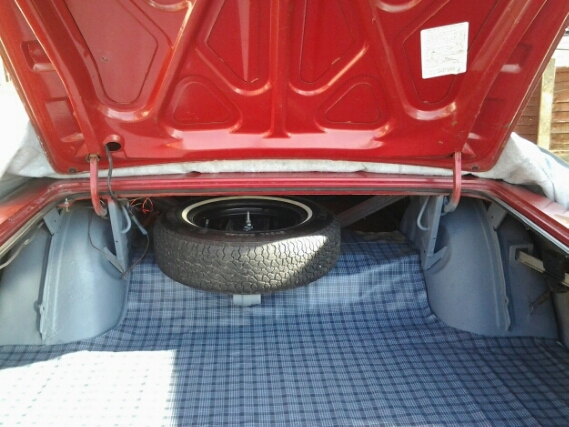 Trunk 3(1).jpg