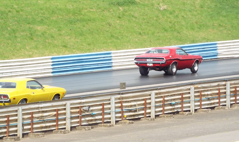 &amp;quot;The Fat and the Furious&amp;quot;