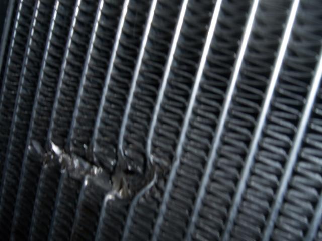 100_3634_zps66594132.jpg