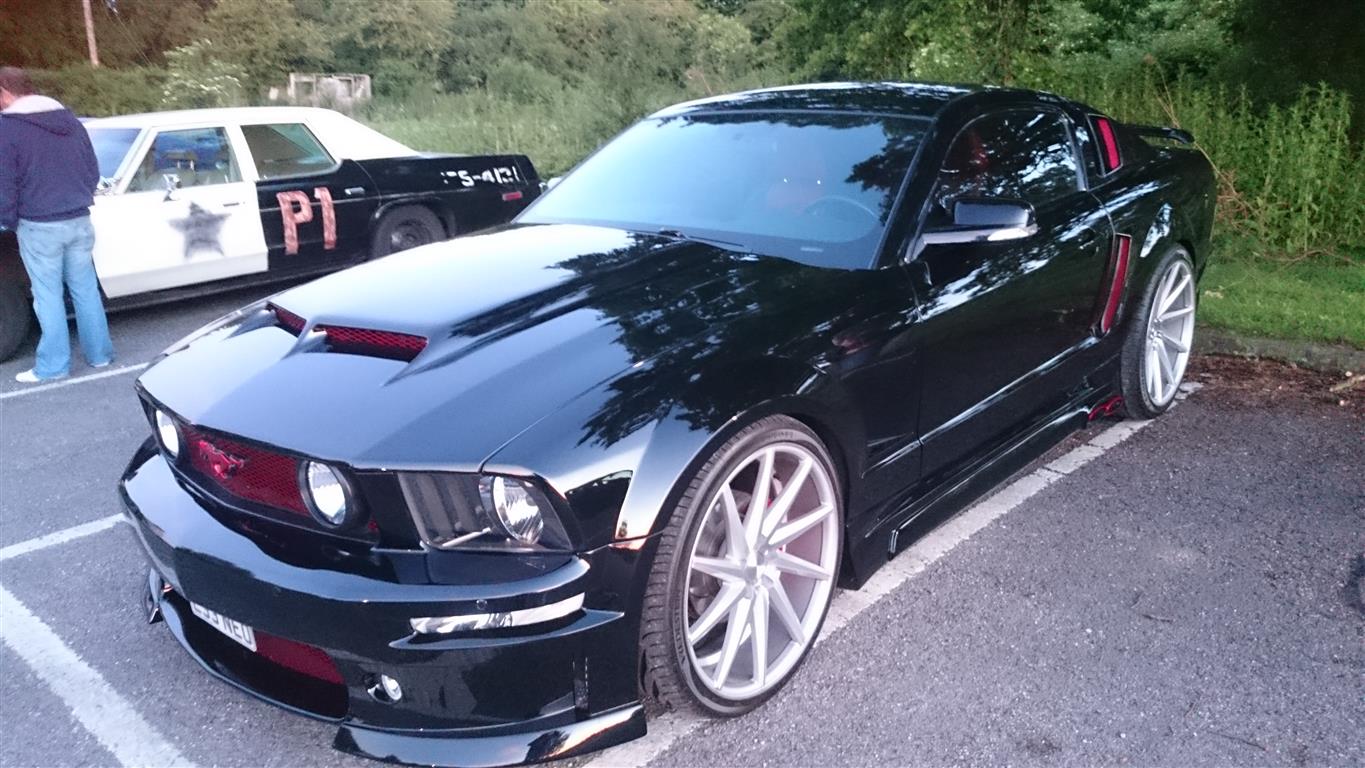Stang 01 (Medium).JPG