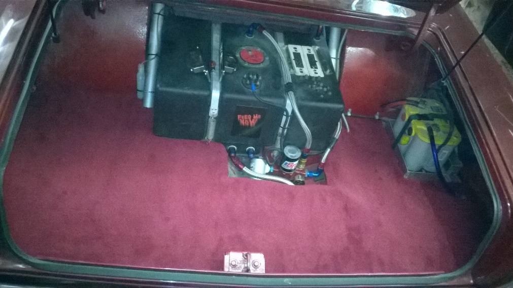 Trunk carpeted.jpg