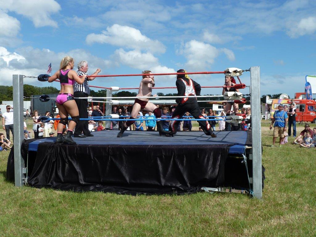 Mixed tag wrestling