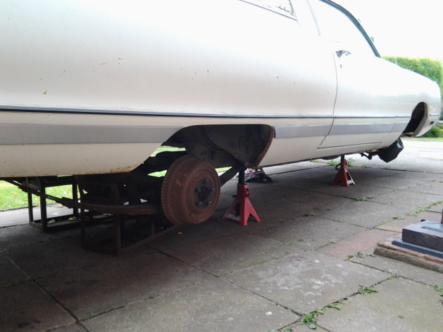 20150805_101556.jpg