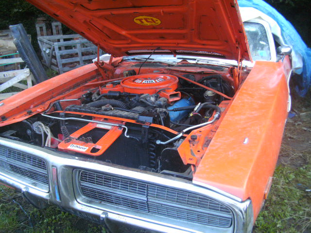 ELVA 595.jpg