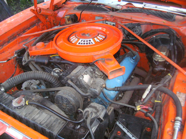 ELVA 594.jpg