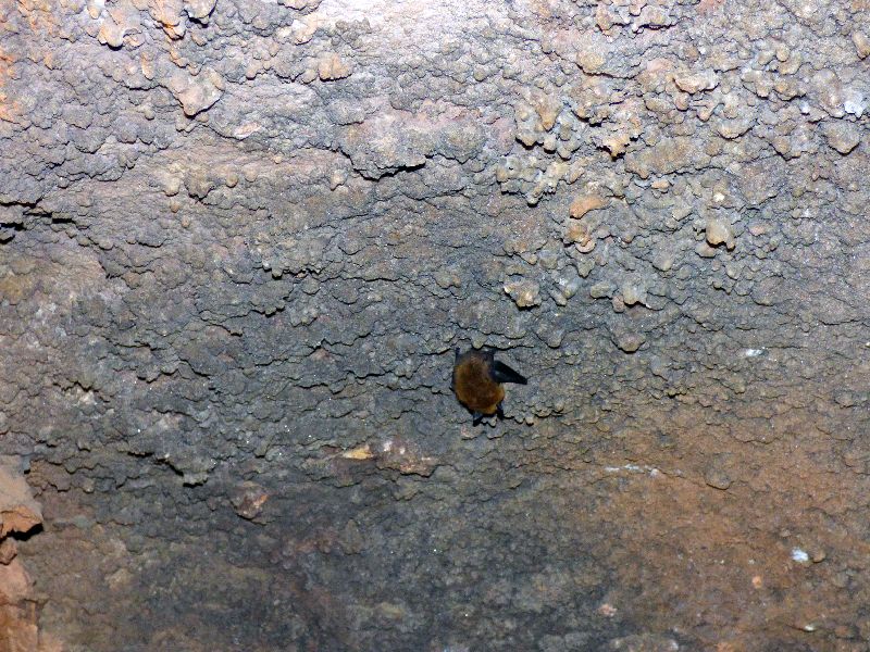 P1040678 R.jpg