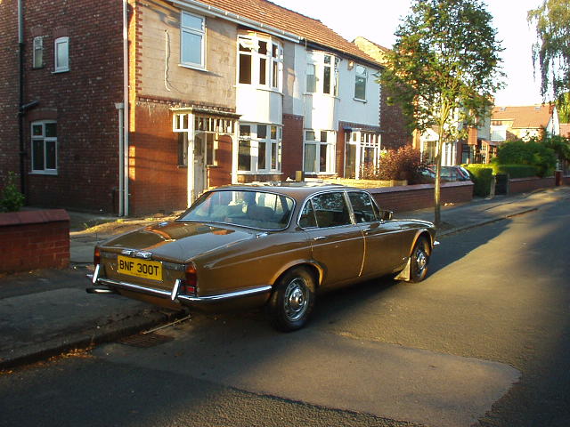 P9080077.JPG